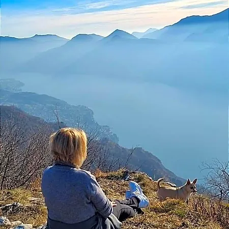 Le Fate Del