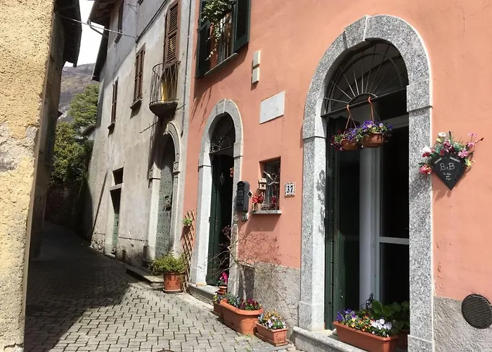 Le Fate Del 3* リエルナ