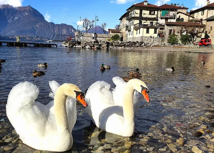 Le Fate Del 3* Lierna