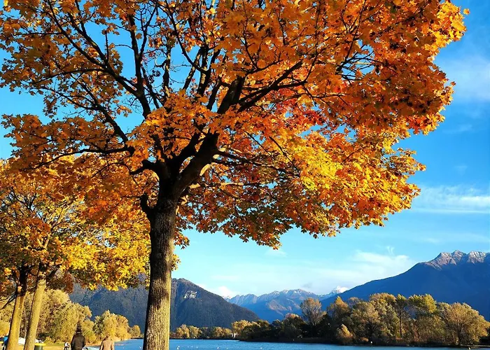 ベッド・アンド・ブレックファスト Le Fate Del リエルナ