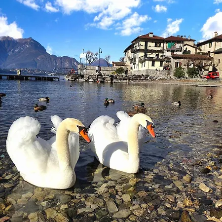 Le Fate Del 3* Lierna